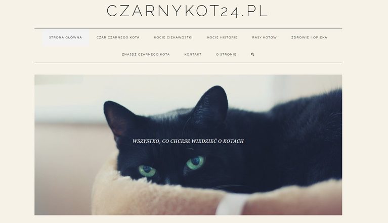 Czarny Kot